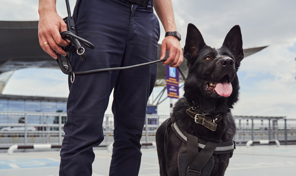 Airport Security Services Video